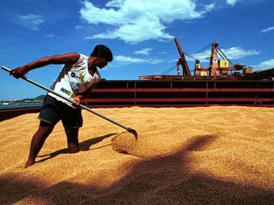 I prezzi di soia restano elevati a causa di interruzioni delle forniture in Sud America