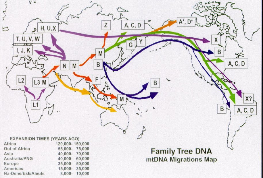 DNA di migrazione: una storia complessa.